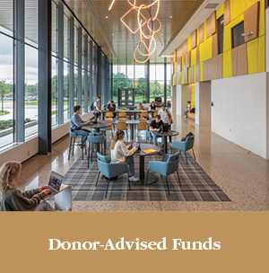 Students studying in a lounge area. Links to Donor-Advised Funds